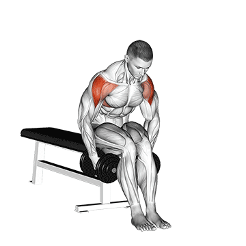 seated bent over rear delt raise