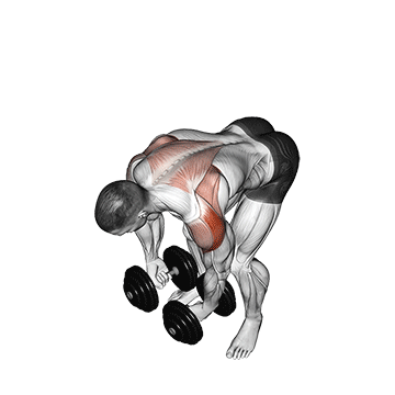 seated bent over rear delt raise