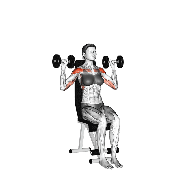 seated dumbbell overhead press