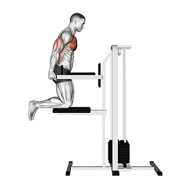 Machine-assisted triceps dip - New Life Health Center