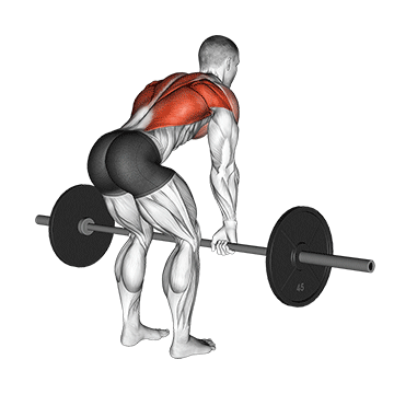 Bent-over barbell row - New Life Health Center