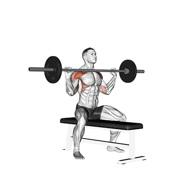 Seated Barbell Overhead Press New