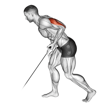 Cable Triceps Kickback New Life Health Center