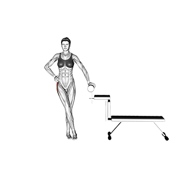 Standing Hip Abduction - New Life Health Center